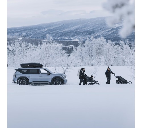 Автобокс THULE Motion 3 L, титановый глянцевый, 450 л