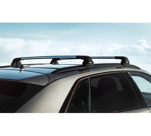 Поперечная дуга Rollster 20504 на интегрированные рейлинги на рейлинги на гладкую крышу в штатные места